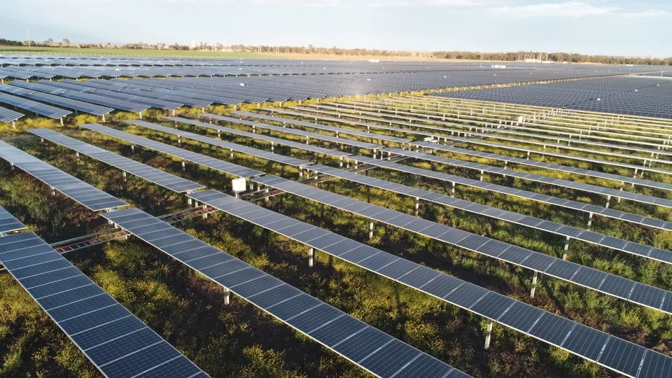 Rows of solar panels across green paddocks at Yarranlea Solar Farm.